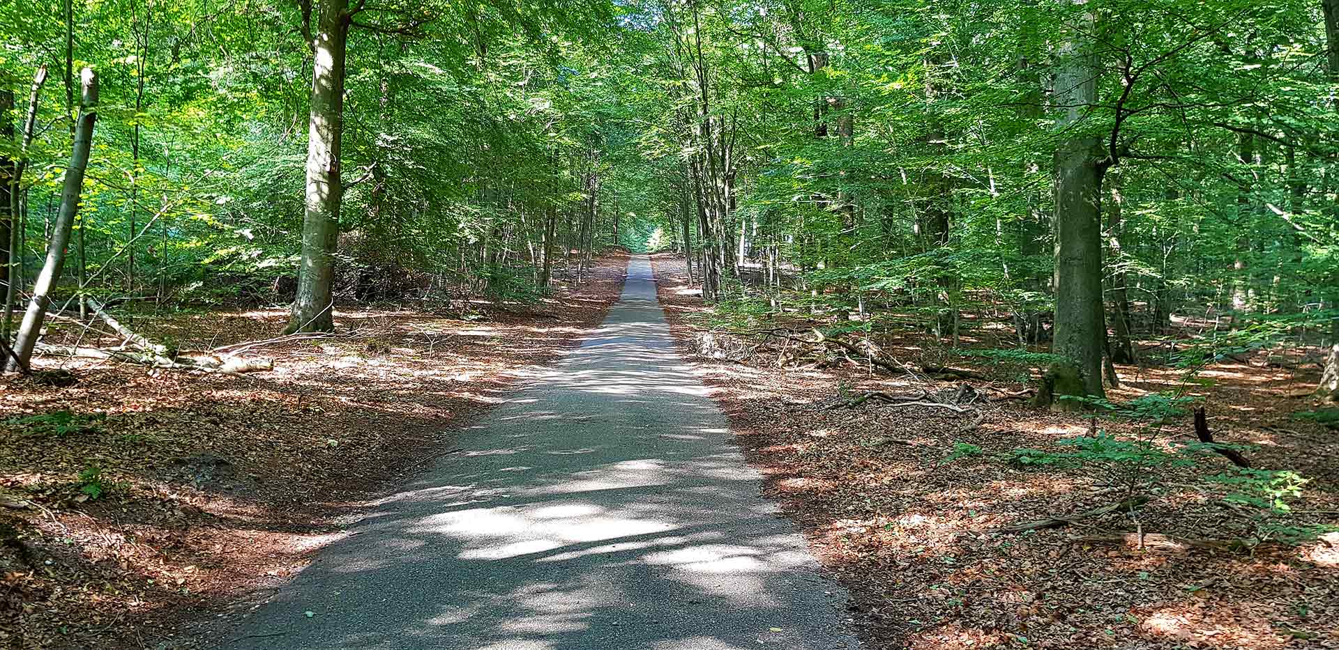 Het laatste deel van de Geldenberg loopt steil omhoog