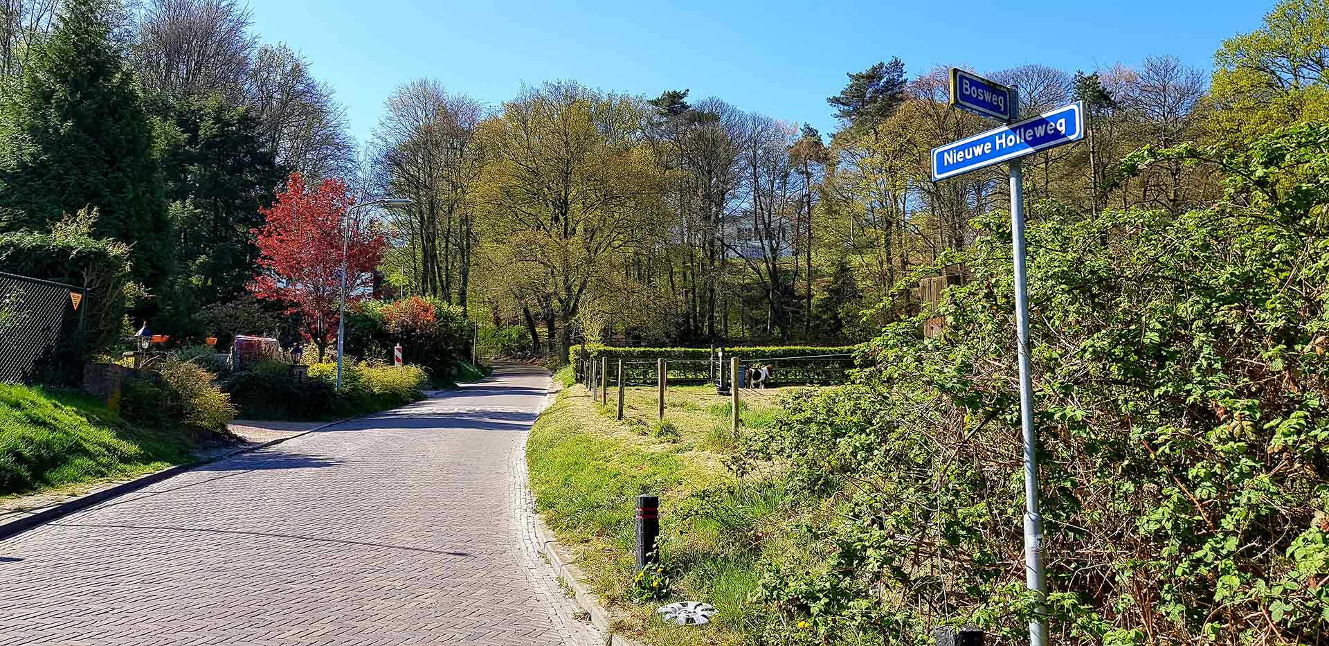 Nieuwe Holleweg