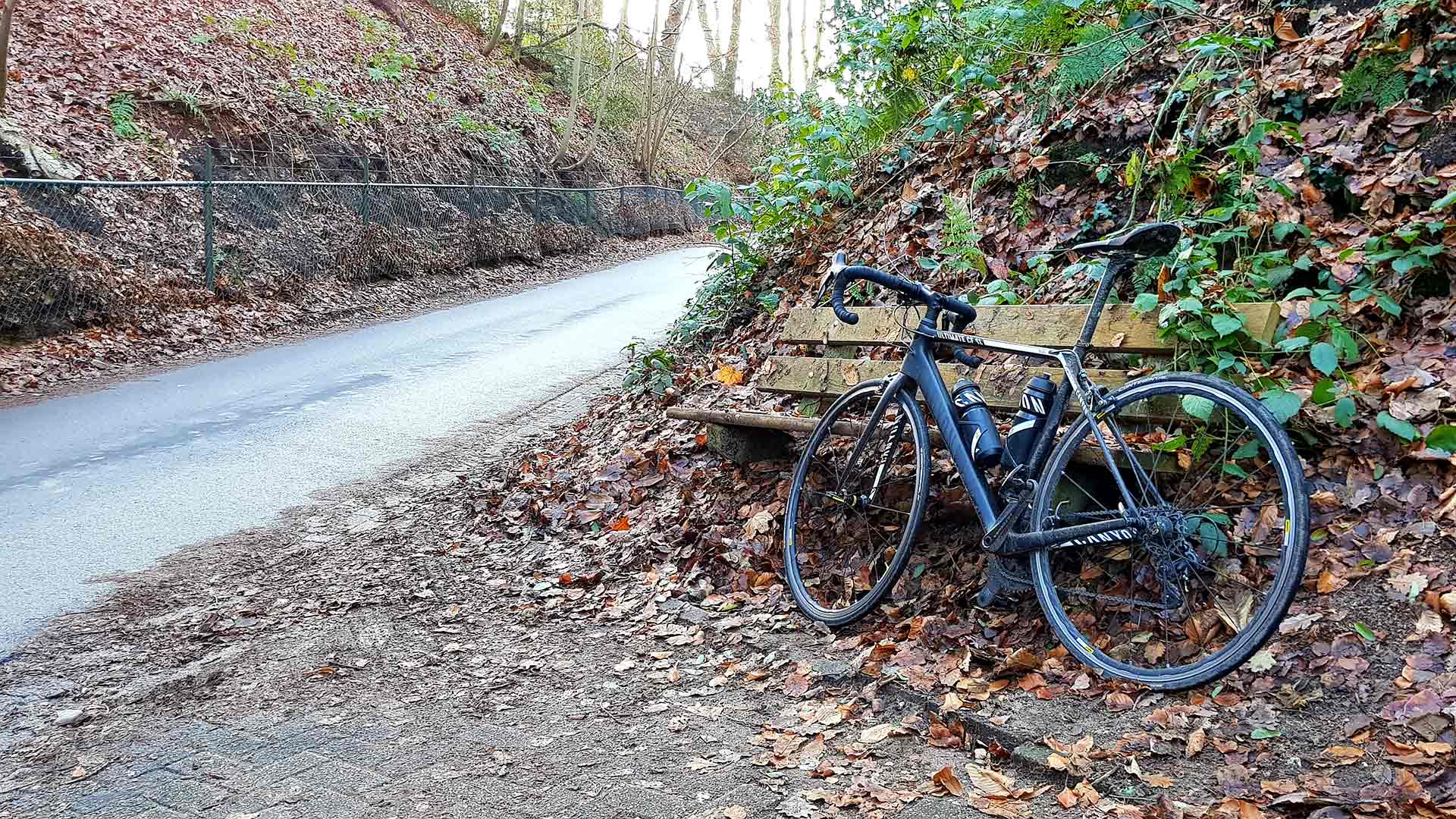 Oude Holleweg