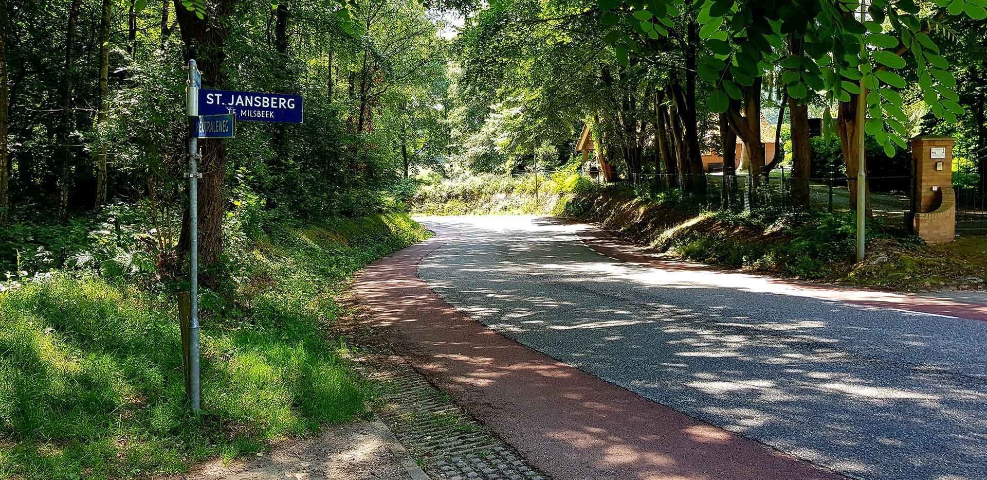 Van bovenaf kijk je de prachtige, bosrijke weg in