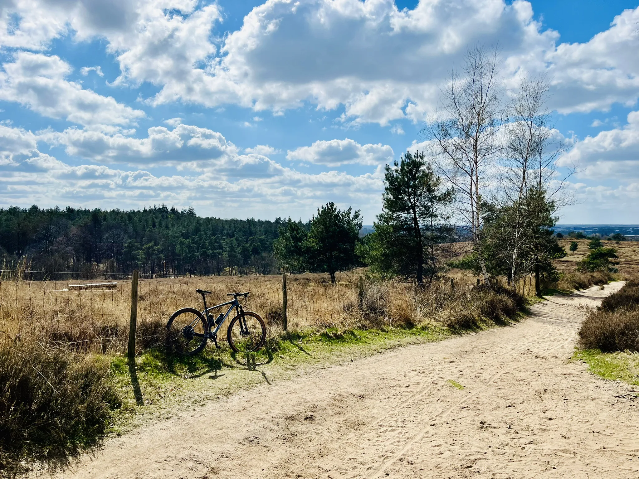 Op de Mookerheide