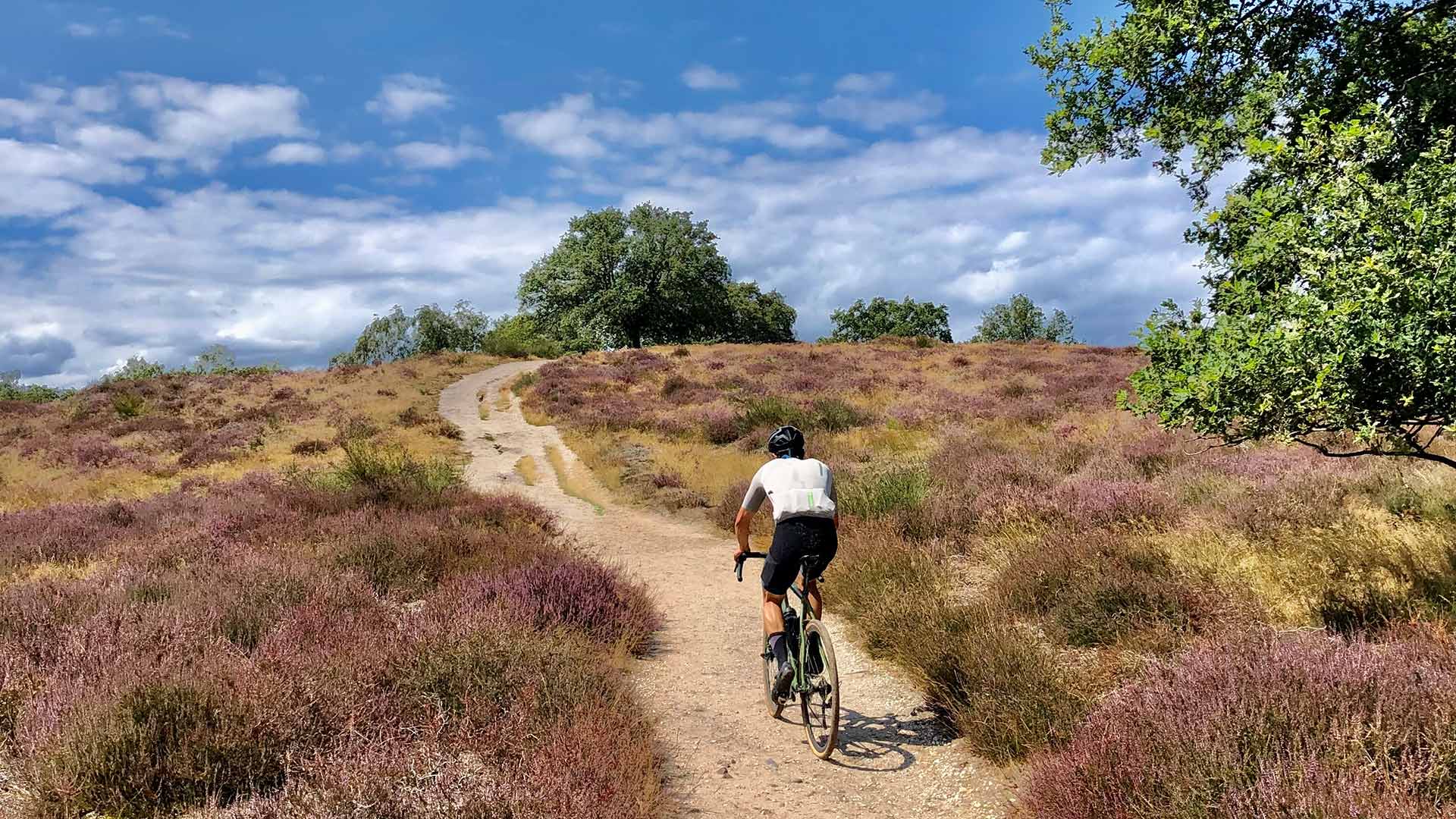 Gravelen op de heide