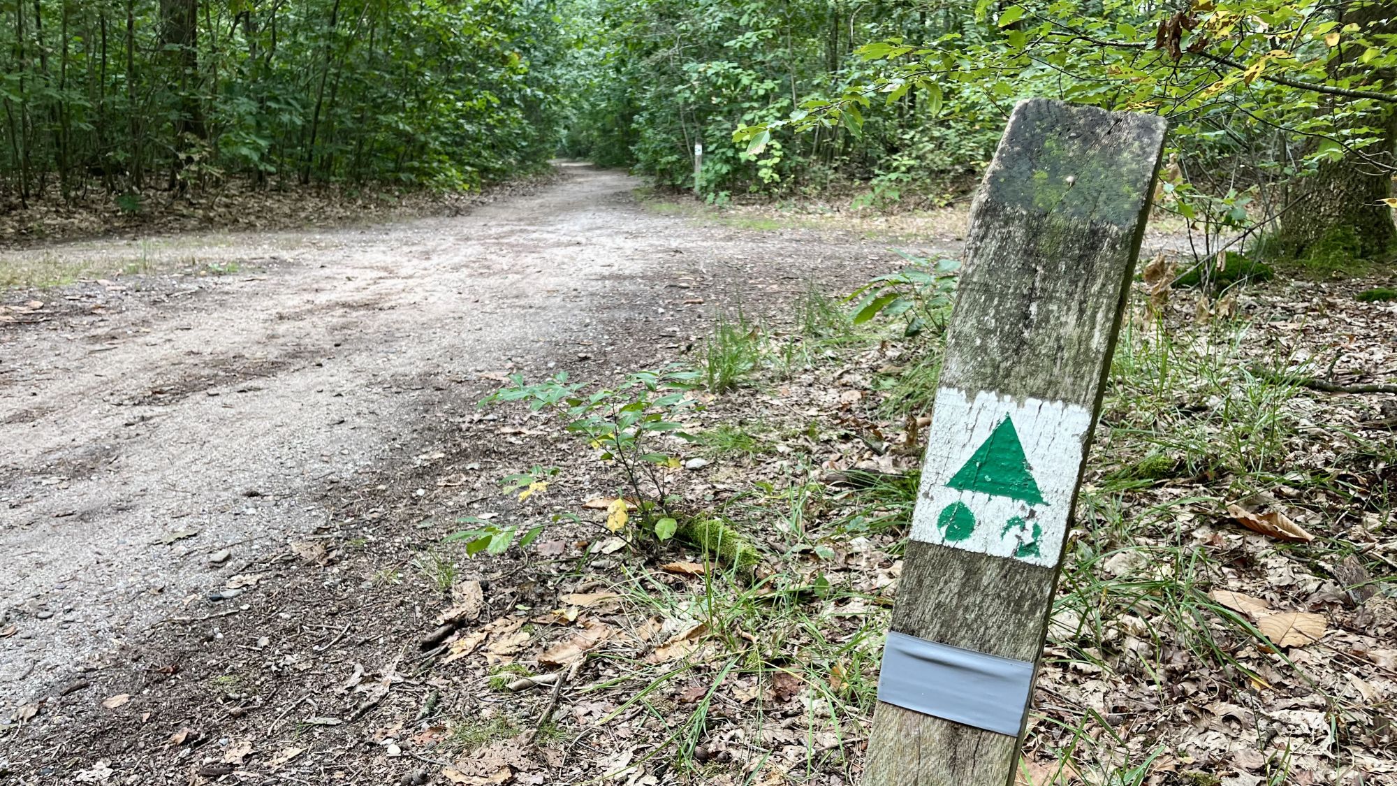 Route-aanduiding op groene mtb-route van Malden