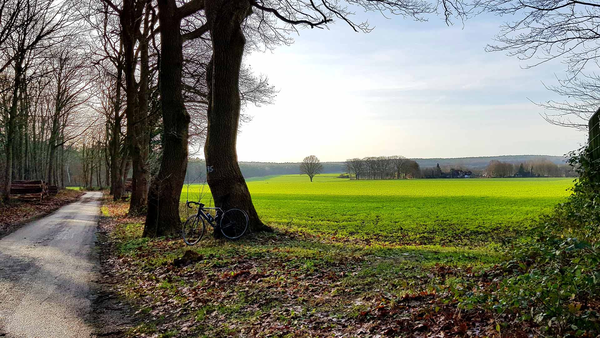 De velden rondom Nütterden en Donsbrüggen