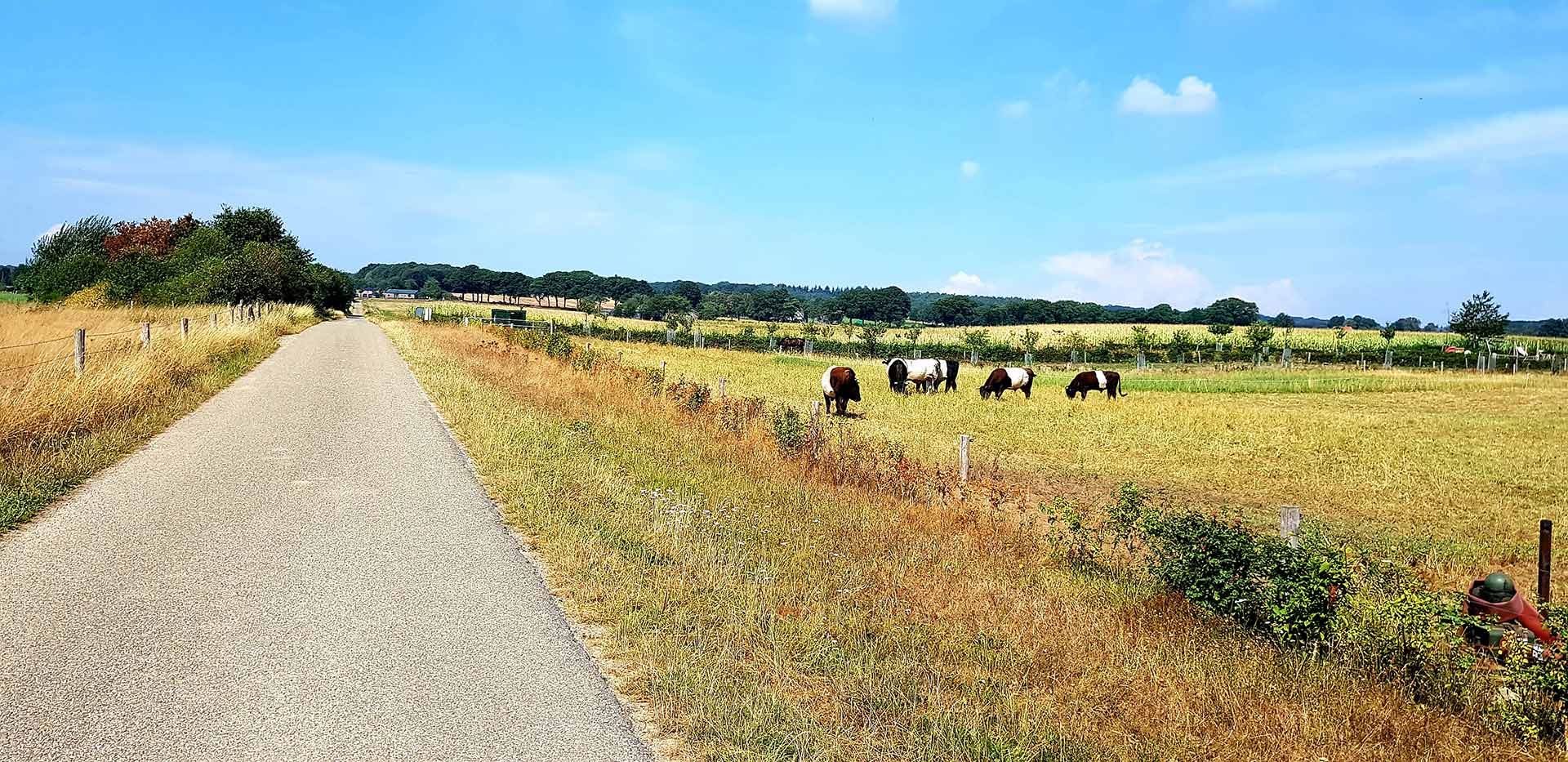 Wylerbaan groesbeek