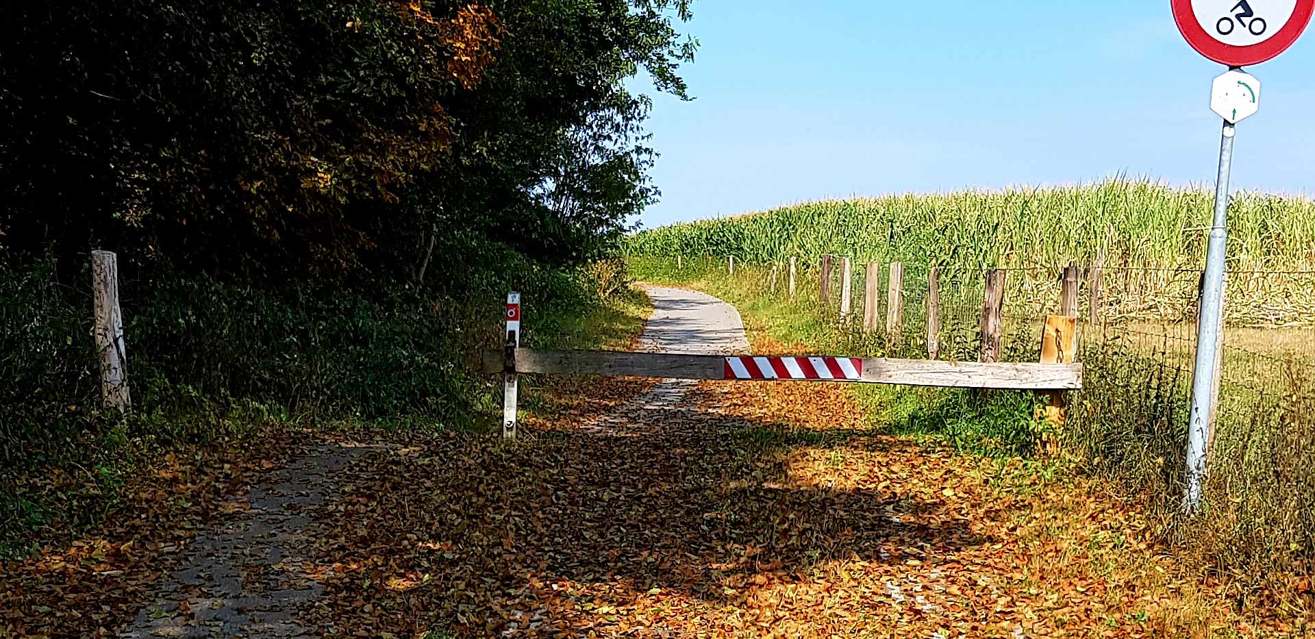 Zevendal plasmolen