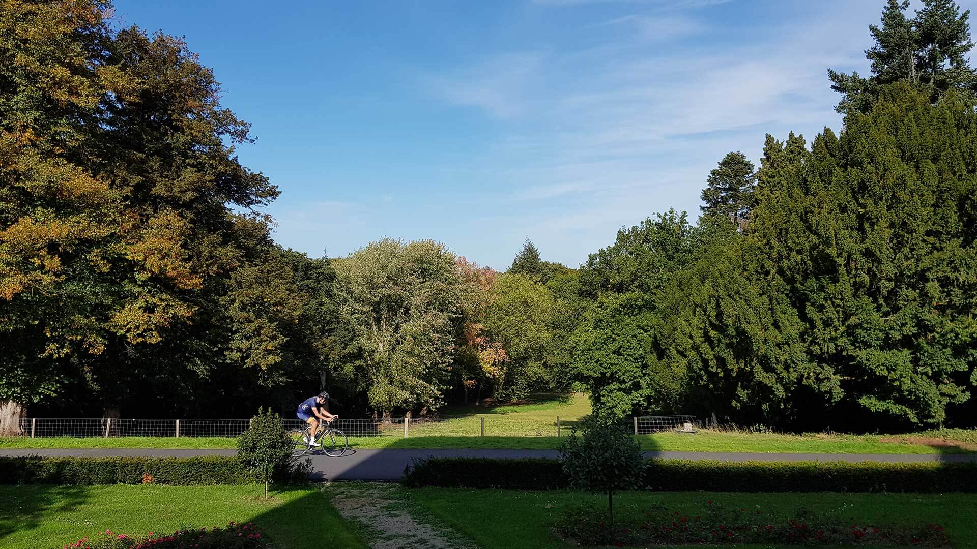Het Rijk van Nijmegen