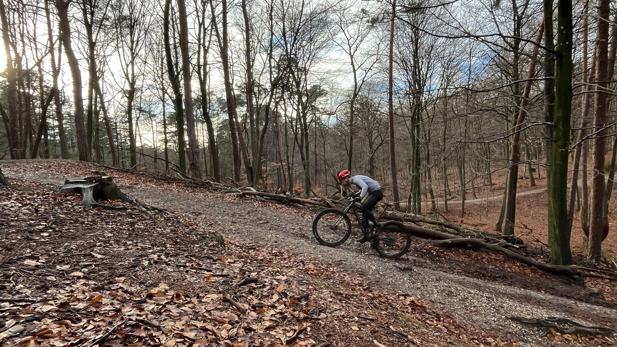 Op de wortelklim van de mtb route Groesbeek
